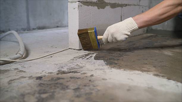 SJ Waterproofing Pros Waterproofing coverage map for Dorr, MI and surrounding area